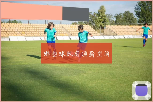 哪些球队有顶薪空间